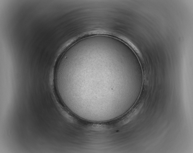 X0000116150437200911231334