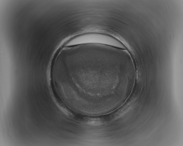 X0000116150438200911231334