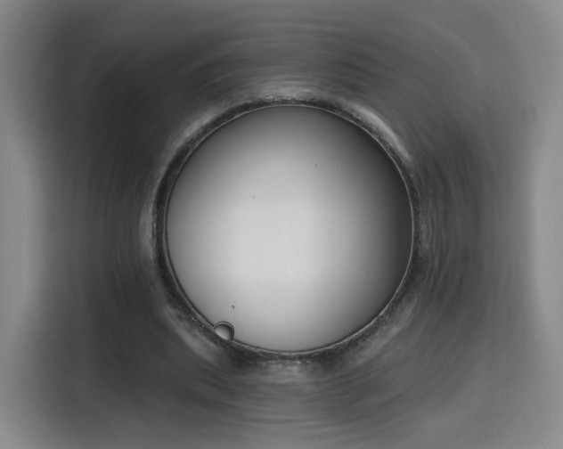 X0000116150439200911231334