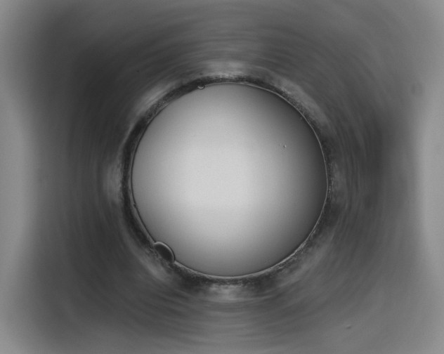 X0000116150440200911231334