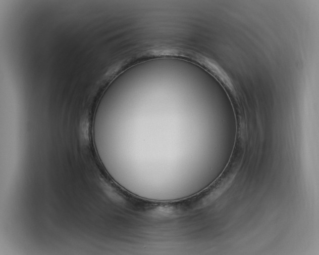 X0000116150441200911231334