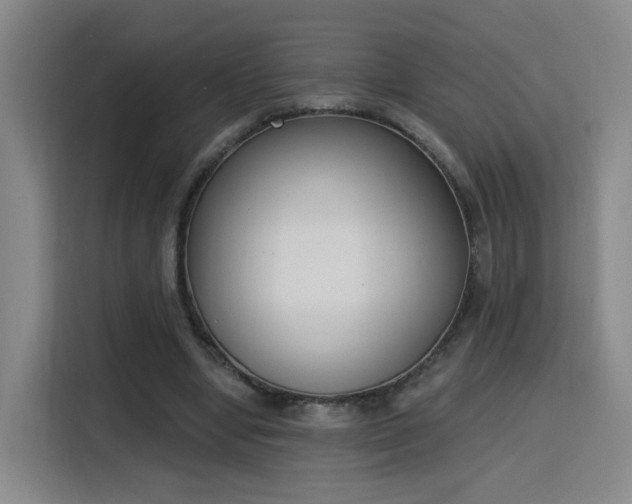 X0000116150442200911231334