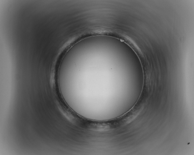 X0000116150443200911231334