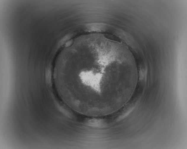 X0000116150444200911231334