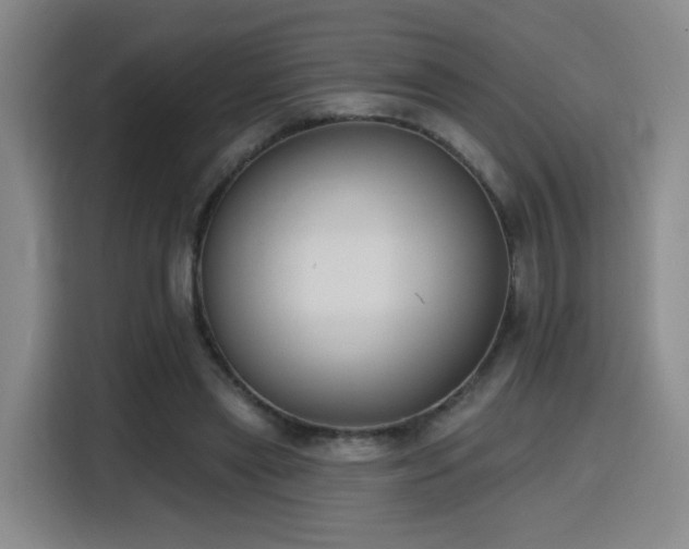 X0000116150445200911231334