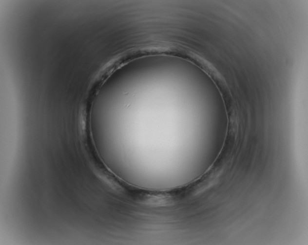 X0000116150446200911231334