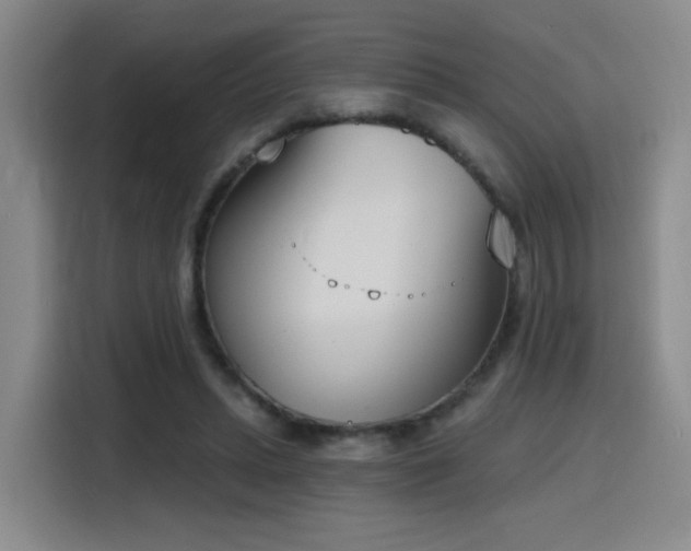 X0000116150447200911231334