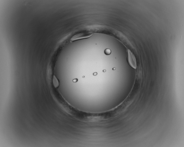 X0000116150448200911231334