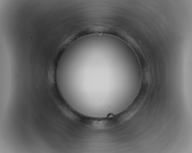 X0000116150450200911231335