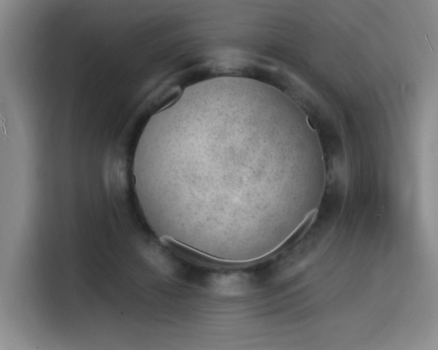 X0000116150452200911231335