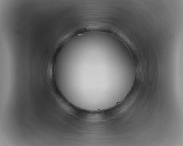 X0000116150454200911231335