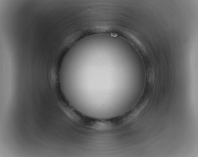 X0000116150455200911231335