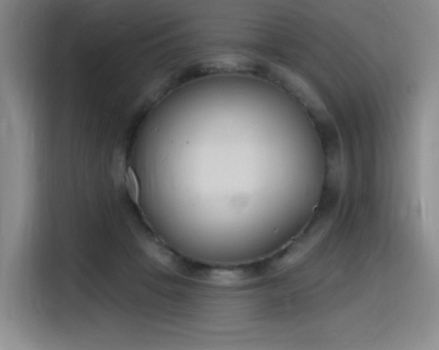 X0000116150457200911231335