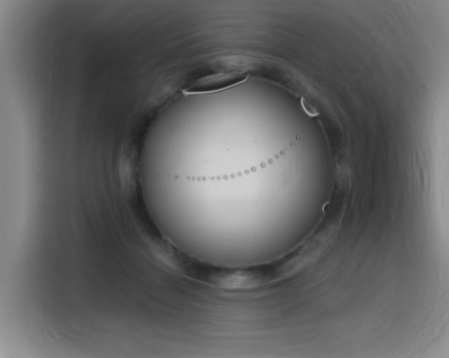 X0000116150460200911231335