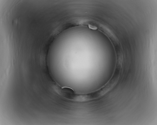 X0000116150461200911231335