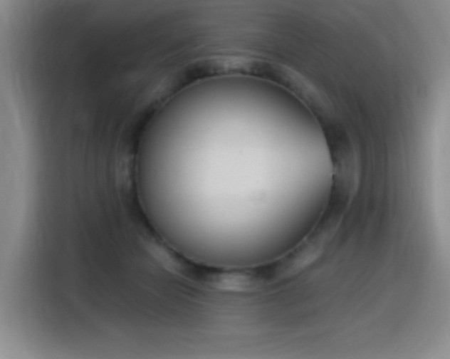 X0000116150462200911231335