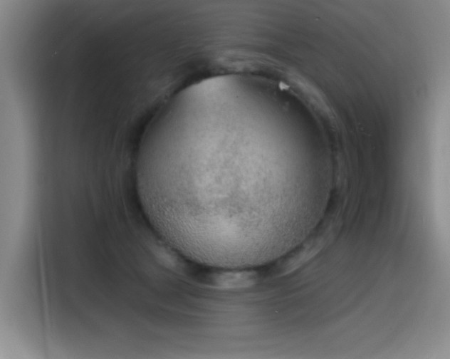 X0000116150465200911231335