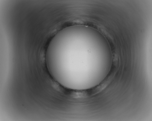 X0000116150466200911231335