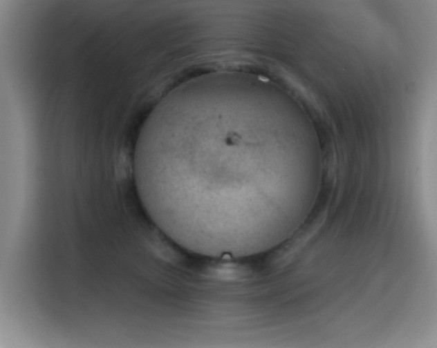 X0000116150467200911231335