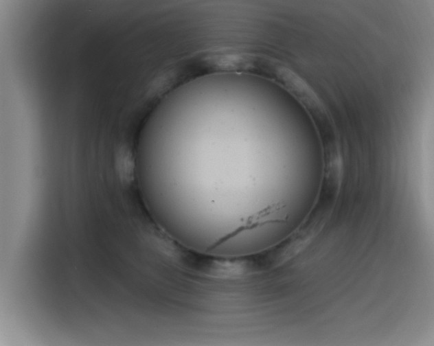 X0000116150469200911231335