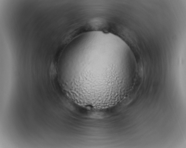 X0000116150471200911231335