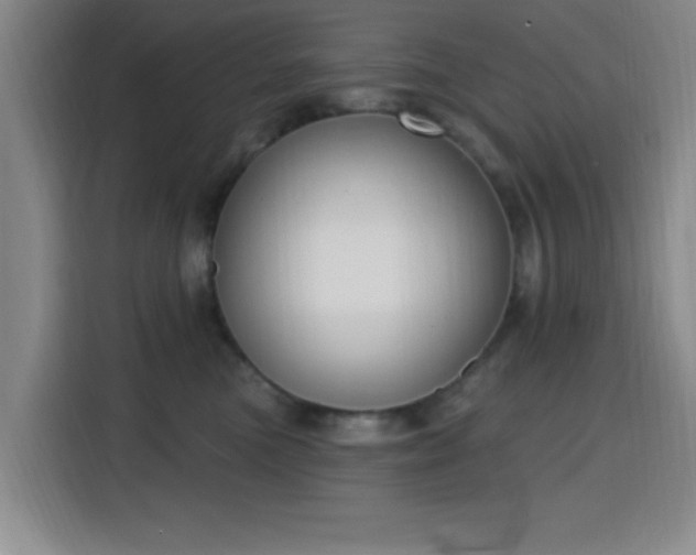 X0000116150473200911231335