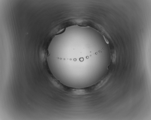 X0000116150476200911231335