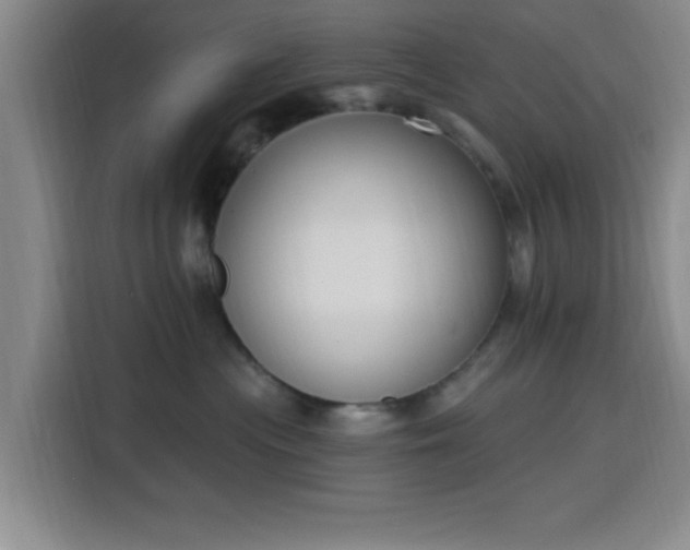 X0000116150477200911231335