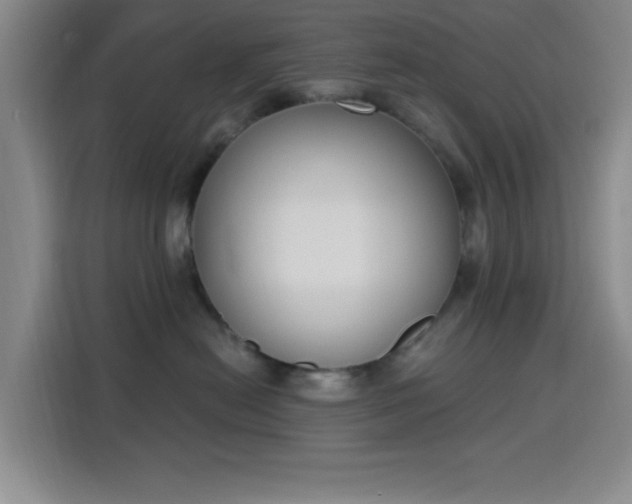 X0000116150478200911231335