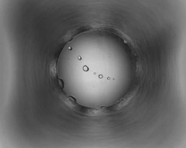 X0000116150479200911231335