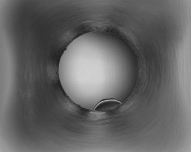 X0000116150480200911231335