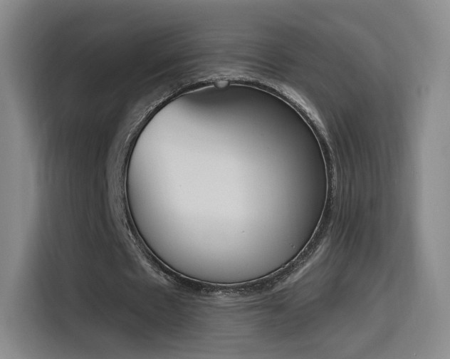 X0000116150481200911231334