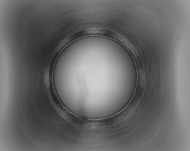 X0000116150482200911231334