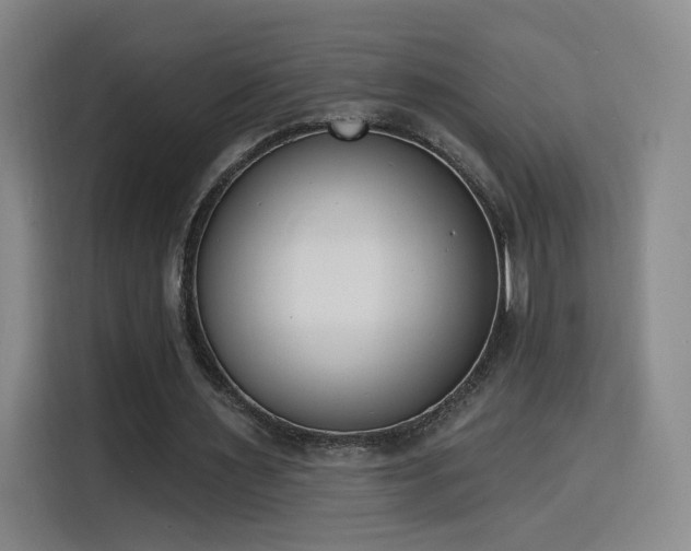 X0000116150483200911231334