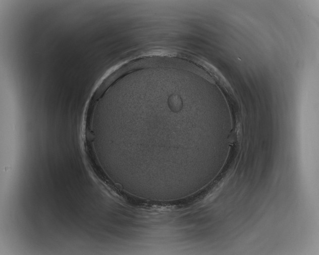 X0000116150484200911231334