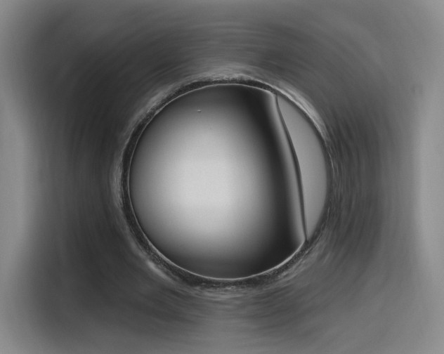 X0000116150485200911231334