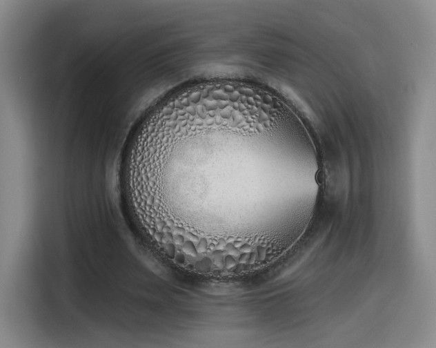 X0000116150487200911231334