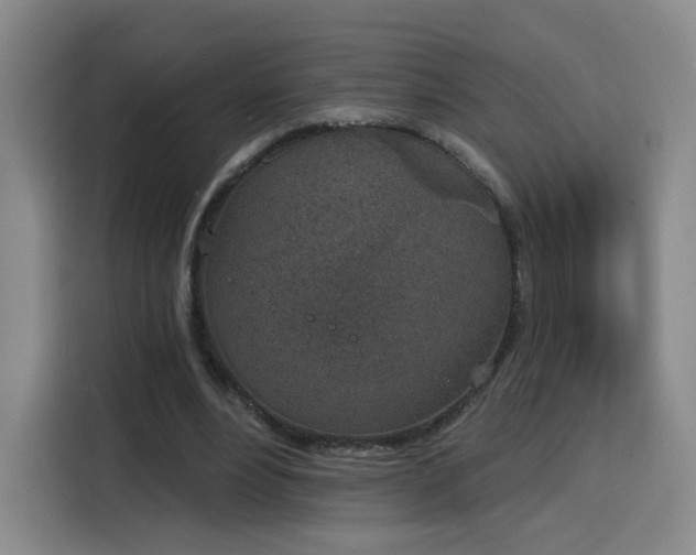 X0000116150488200911231334