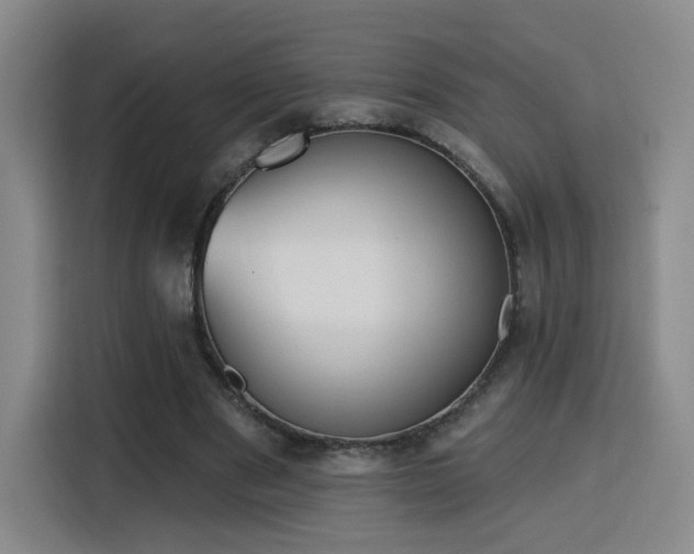 X0000116150489200911231334