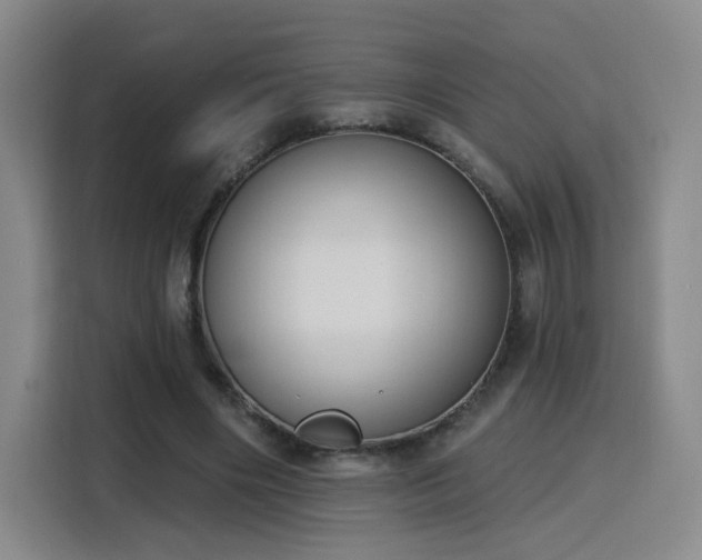 X0000116150490200911231334