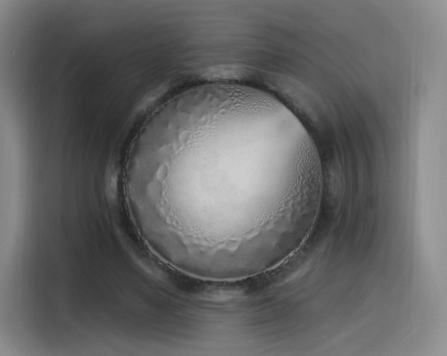 X0000116150491200911231334