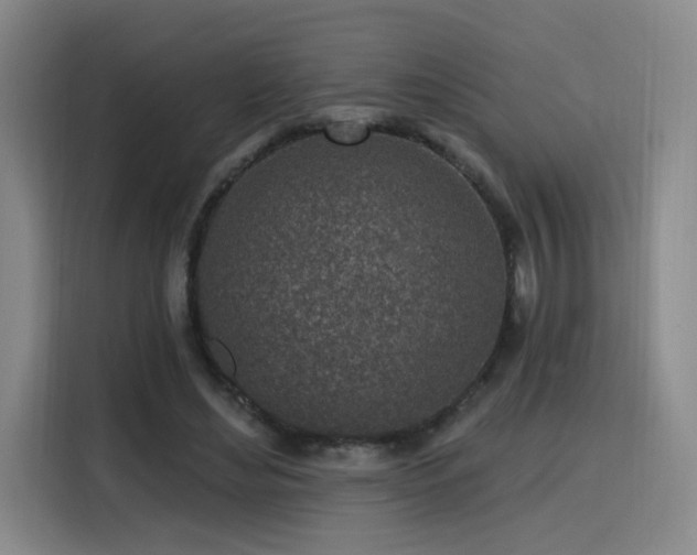 X0000116150492200911231334