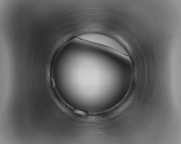 X0000116150493200911231334