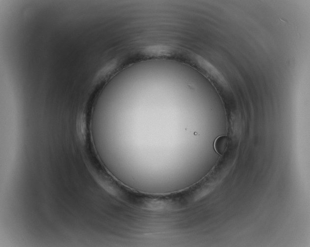 X0000116150494200911231334