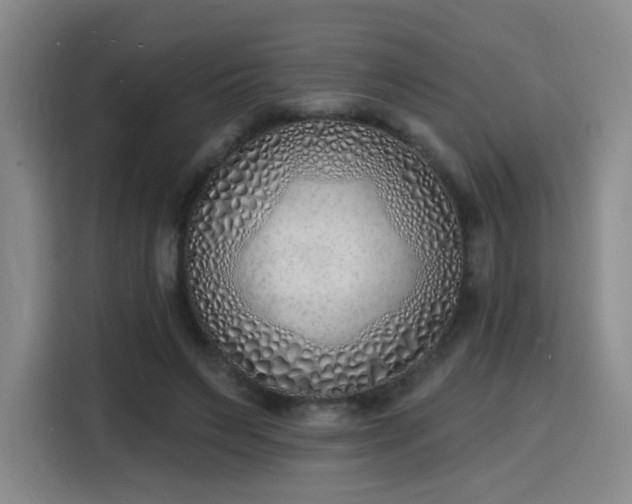 X0000116150495200911231334