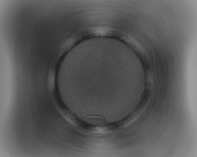 X0000116150496200911231334