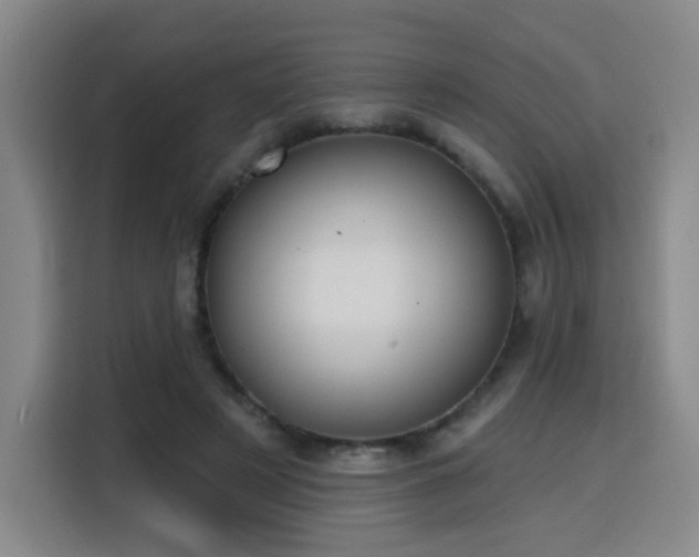 X0000116150497200911231334