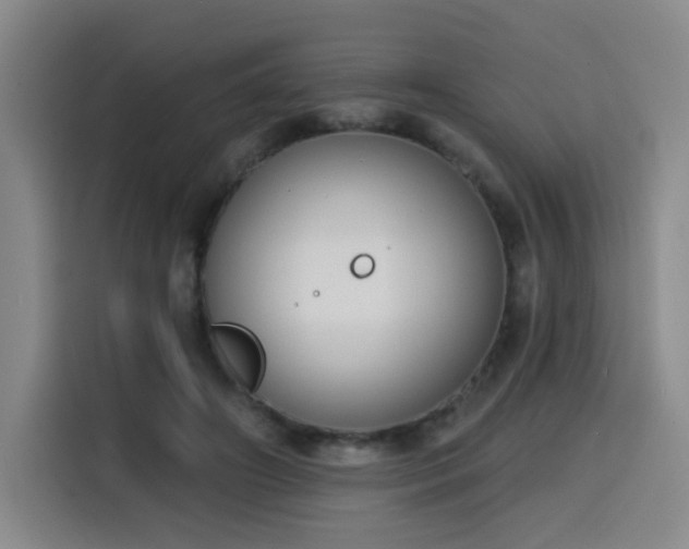 X0000116150498200911231334