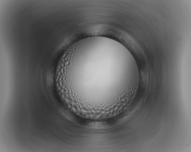 X0000116150499200911231334