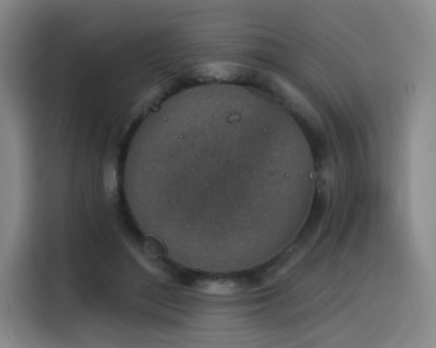 X0000116150500200911231334